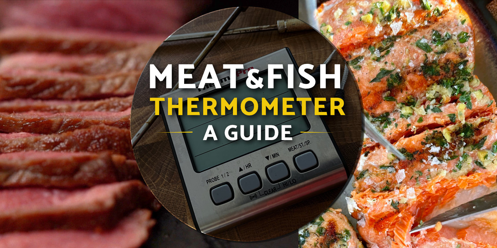ThermoPro TP-17 Review - Thermo Meat